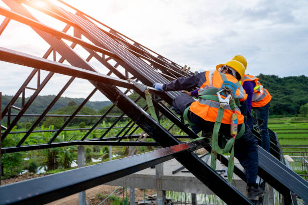 Best Metal Roofing Contractor  in Constantine, MI