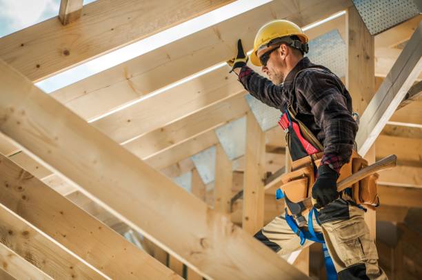 Best Roof Gutter Cleaning  in Constantine, MI