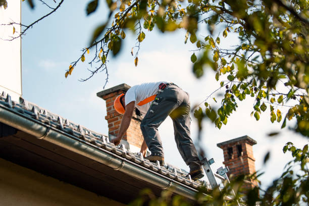 Quick and Trustworthy Emergency Roof Repair Services in Constantine, MI