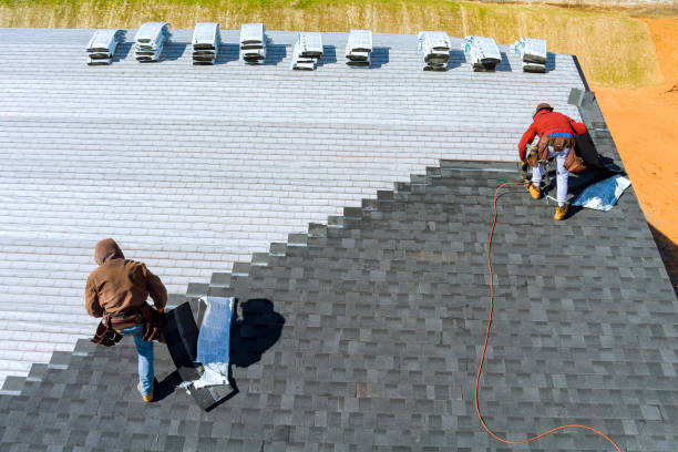 Best Shingle Roofing Installation  in Constantine, MI