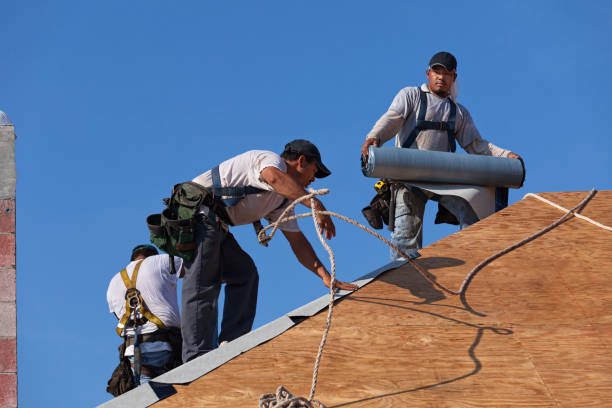 Best Storm Damage Roof Repair  in Constantine, MI