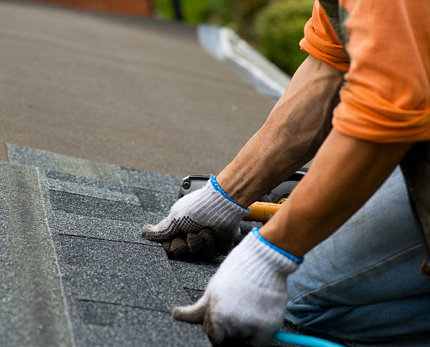 Best Roof Gutter Cleaning  in Constantine, MI