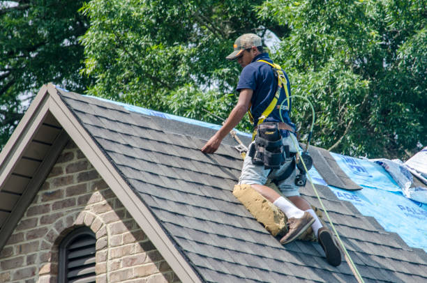 Professional Roofing Contractor in Constantine, MI